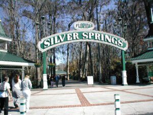 silver springs