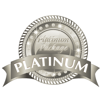 seo platinum level
