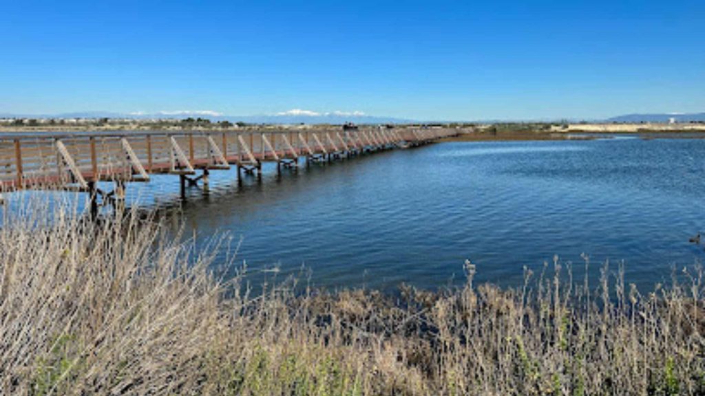Bolsa Chica Ecological Reserve