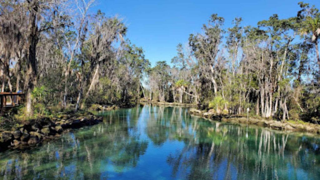 Crystal River National Wildlife Refuge