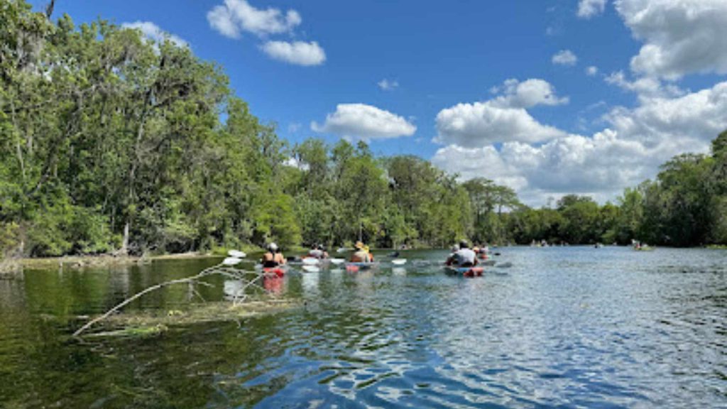 Get Up And Go Kayaking - Silver Springs