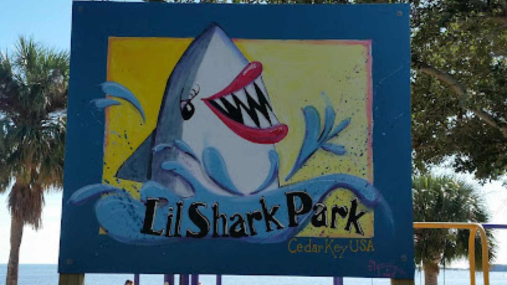 Lil Shark Park