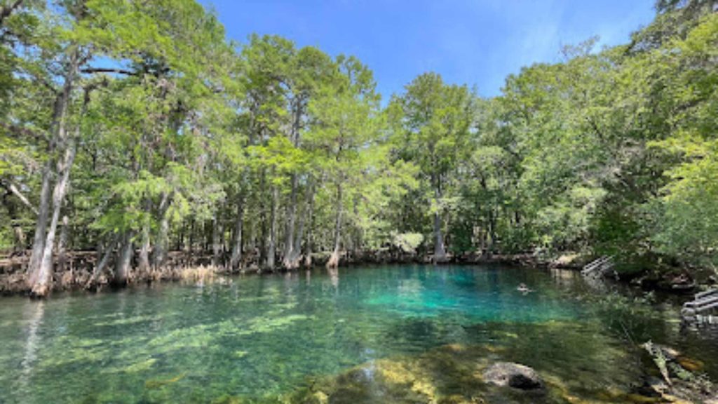 Manatee Springs State Park