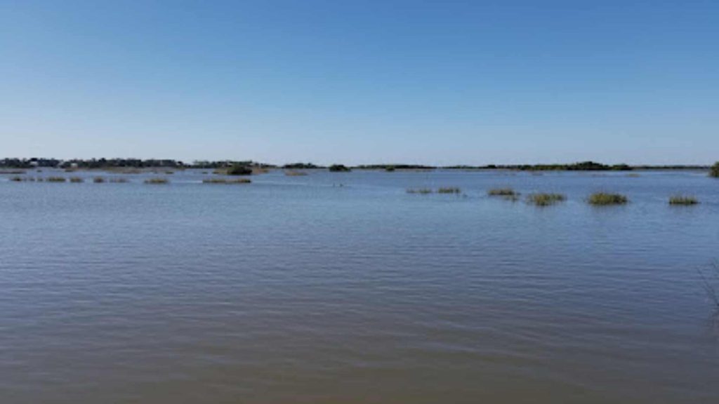 Southern Cross Sea Farms