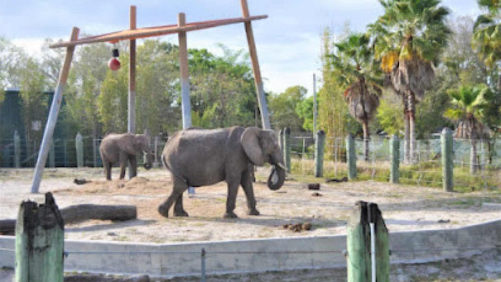 ZooTampa at Lowry Park